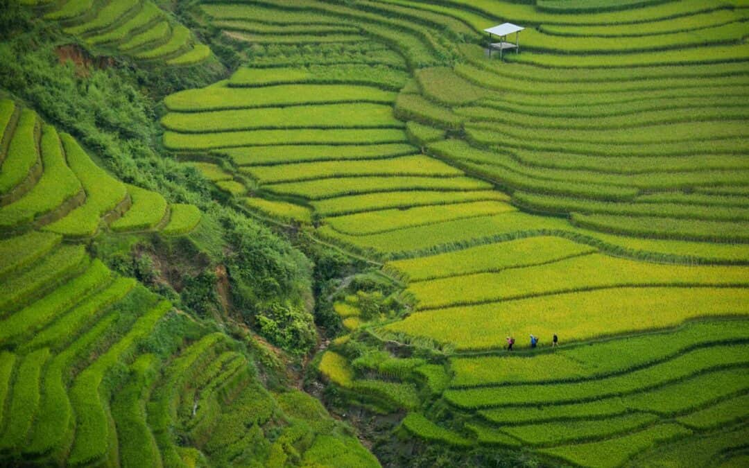 Holidays in Vietnam