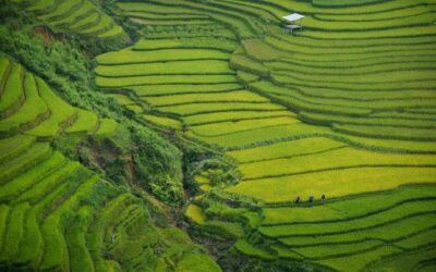 Holidays in Vietnam